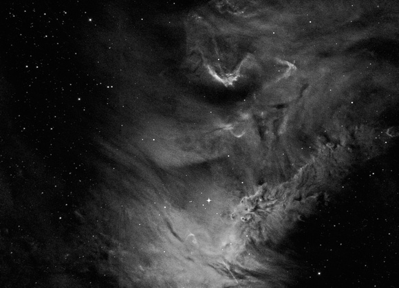 NGC2264 Fox Fur Nebula
