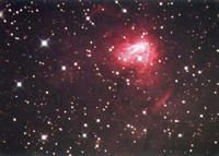 NGC 1491