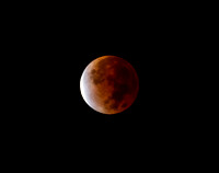 Lunar Eclipse 111821