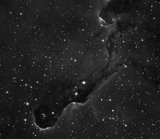 IC1396 Elephant's Trunk Nebula