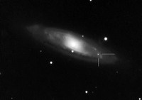 M65 with SN2013am