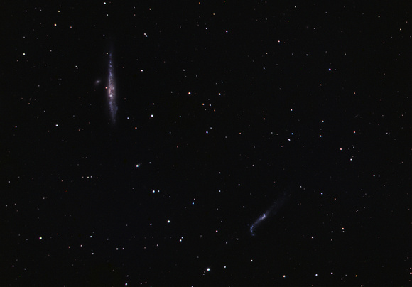 NGC4631 Galaxy Group