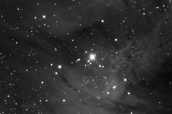 NGC2264 Fox Fur Nebula