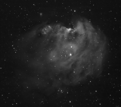NGC2175 The Monkey Head Nebula