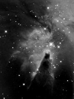 NGC2264 in Halpha